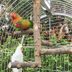 Bird Perch Nature Wood Stand for 3-4Pcs Small Medium Parrots (S-For Small Parrots)