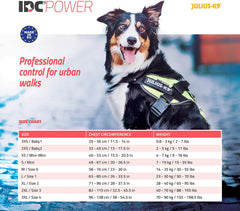 IDC Powerharness, Blue, S/Mini