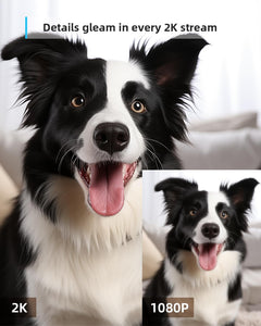 Pet Camera 2K Black, Indoor Camera, Dog Camera, 360° Home Security Camera, 2.4G & 5G, Night Vision, Motion Tracking, 2-Way Talk, Cloud&Sd, APP Control, Works with Alexa