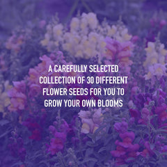 Flower Seed Variety Pack - 30 Different Varieties of Flower Seeds to Grow Your Own. Butterfly and Bee Attracting, Grow Indoor and Outdoor. Mother'S Day Gifts for Women and Men.