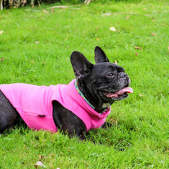 - Fleece Vest Sweater with Leash Ring - Soft Lightweight Breathable for Puppies Small Medium Dogs, Kitten, Cats, Chihuahua - Warm for Fall/Autumn/Winter (Pink, L (10-16Lbs))