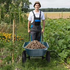 2-Wheeled Wheelbarrow with Pneumatic Tires and Handle