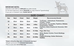 - Fleece Vest Sweater with Leash Ring - Soft Lightweight Breathable for Puppies Small Medium Dogs, Kitten, Cats, Chihuahua - Warm for Fall/Autumn/Winter (Pink, L (10-16Lbs))