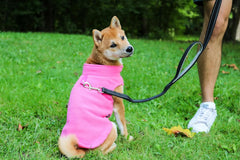 - Fleece Vest Sweater with Leash Ring - Soft Lightweight Breathable for Puppies Small Medium Dogs, Kitten, Cats, Chihuahua - Warm for Fall/Autumn/Winter (Pink, L (10-16Lbs))