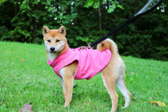 - Fleece Vest Sweater with Leash Ring - Soft Lightweight Breathable for Puppies Small Medium Dogs, Kitten, Cats, Chihuahua - Warm for Fall/Autumn/Winter (Pink, L (10-16Lbs))