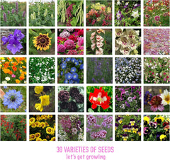 Flower Seed Variety Pack - 30 Different Varieties of Flower Seeds to Grow Your Own. Butterfly and Bee Attracting, Grow Indoor and Outdoor. Mother'S Day Gifts for Women and Men.