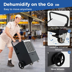 66 L/Day Industrial Dehumidifier with Pump for Basement Drying Clothes