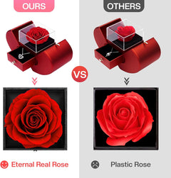 Preserved Real Rose Gifts for Women,Mum,Wife,Eternal Flowers Rose with I Love You Necklace in 100 Languages,Gifts for Her on Birthday, Anniversary, Valentine'S Day, Mother'S Day, Christmas